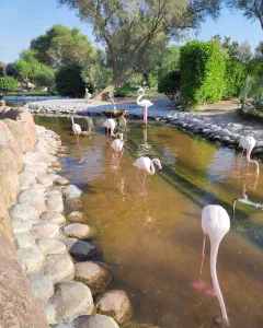 Mohamed bin Zayed Nature Reserve
