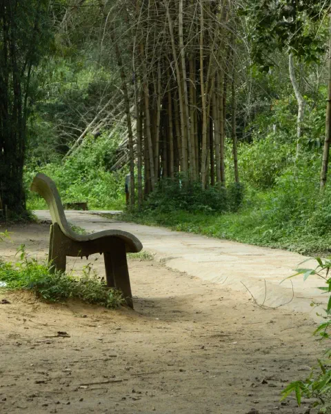 Nisargadhama Forest Park