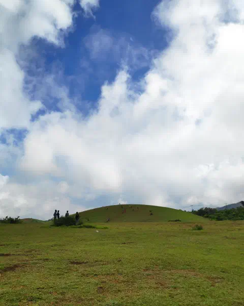 Vagamon Meadows