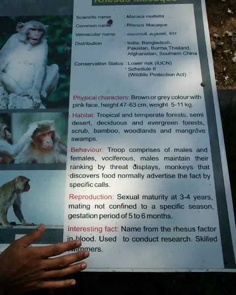 Thiruvananthapuram Zoo