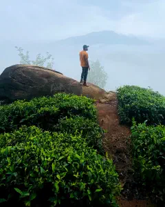 Wayanad